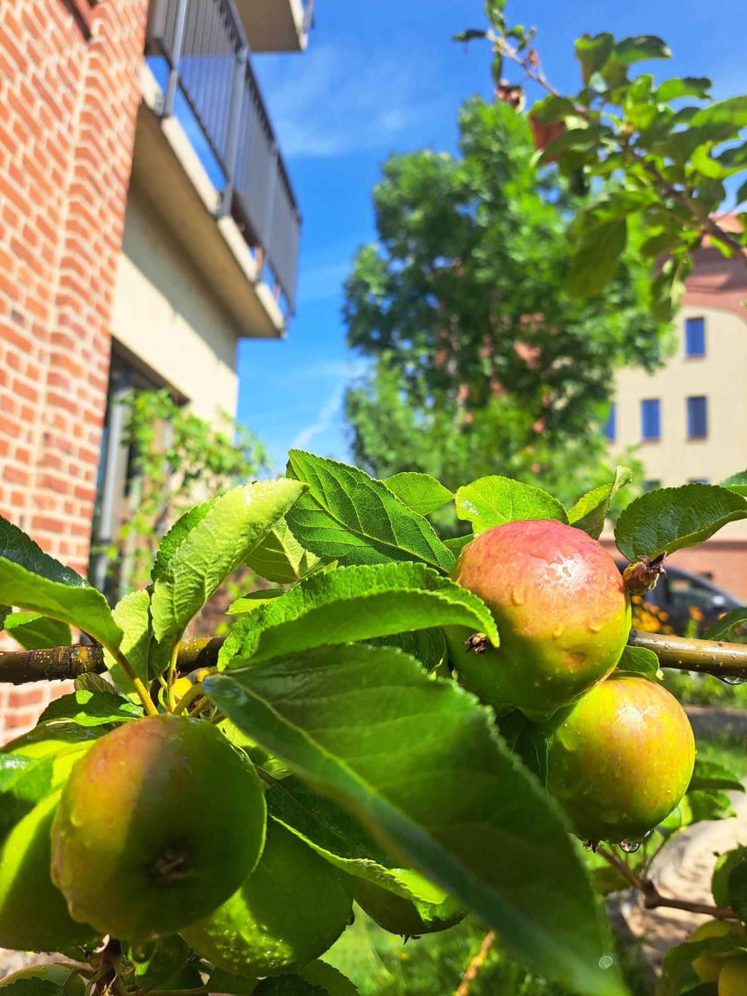 Ferienremise Apartment Бранденбург Екстериор снимка